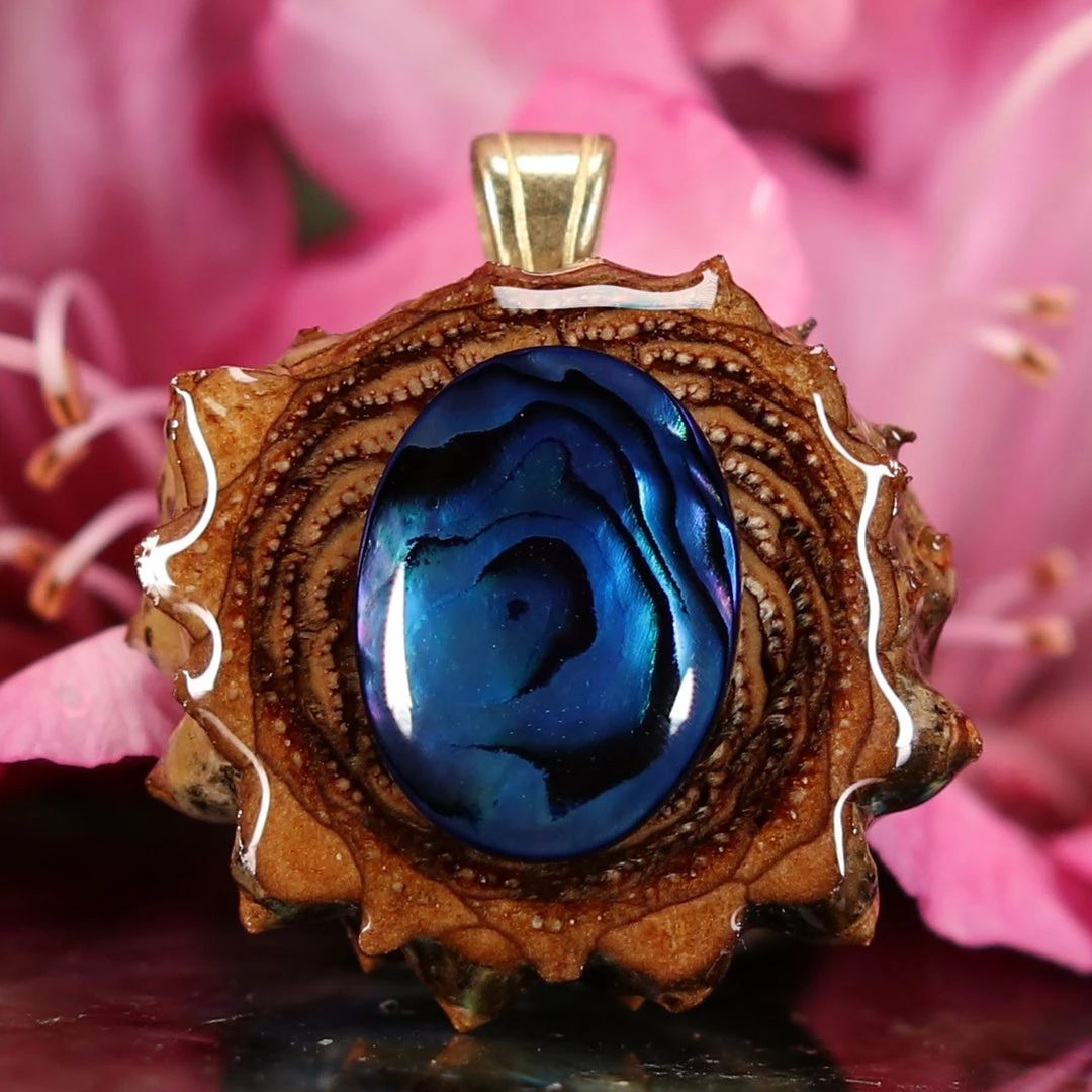 TEP Blue Paua Shell 3 TEP Blue Paua Shell