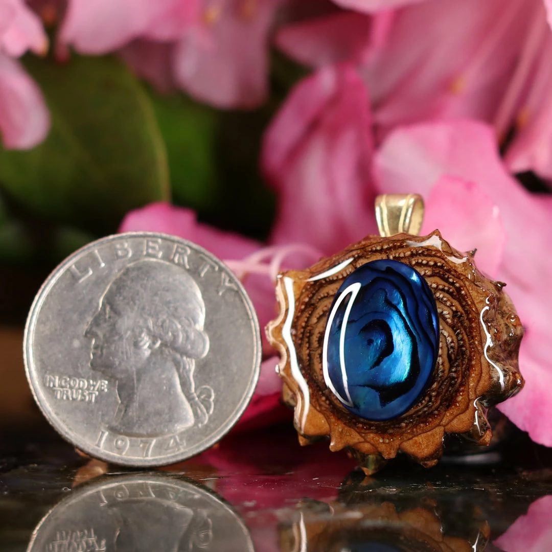 TEP Blue Paua Shell 4 TEP Blue Paua Shell