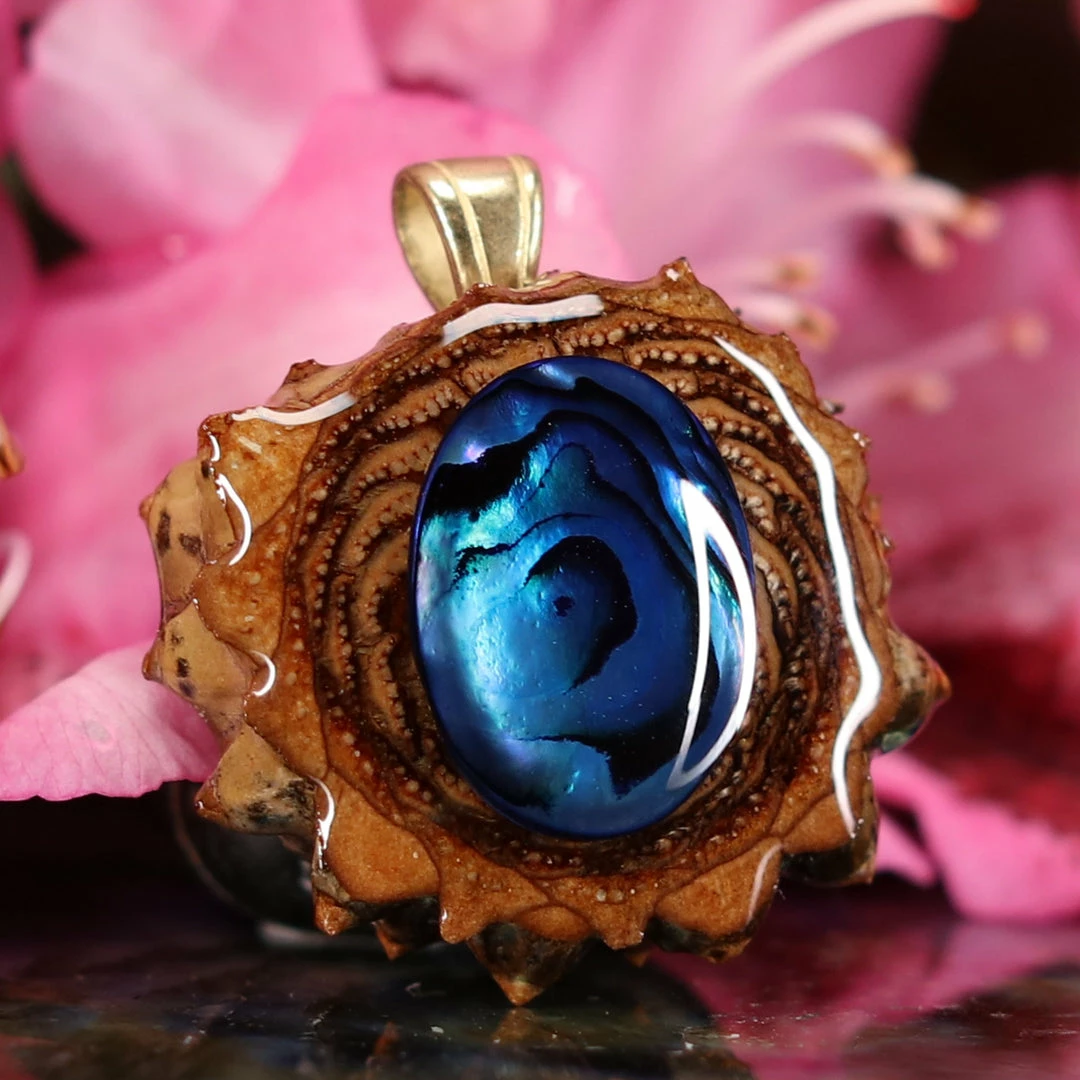 TEP Blue Paua Shell 5 TEP Blue Paua Shell