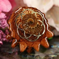 TEP Ammonite With Silver Seed Of Life