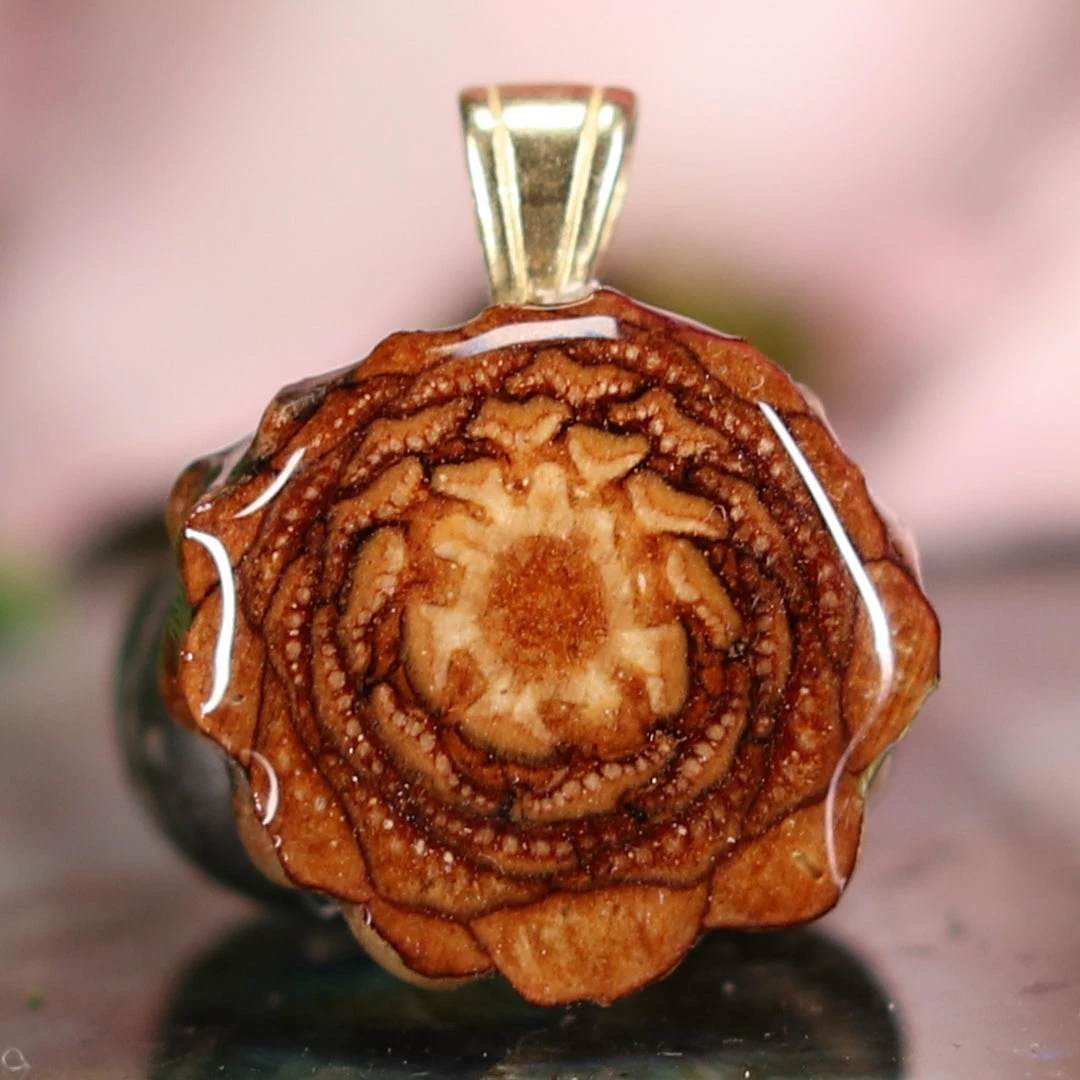 TEP Pendants Natural 3 TEP Pendants Natural