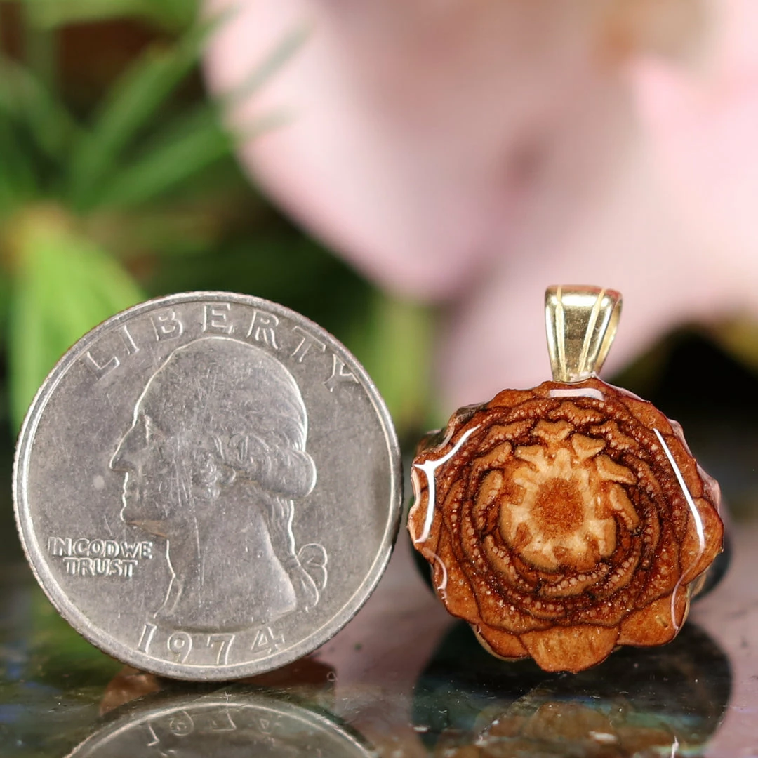 TEP Pendants Natural 4 TEP Pendants Natural