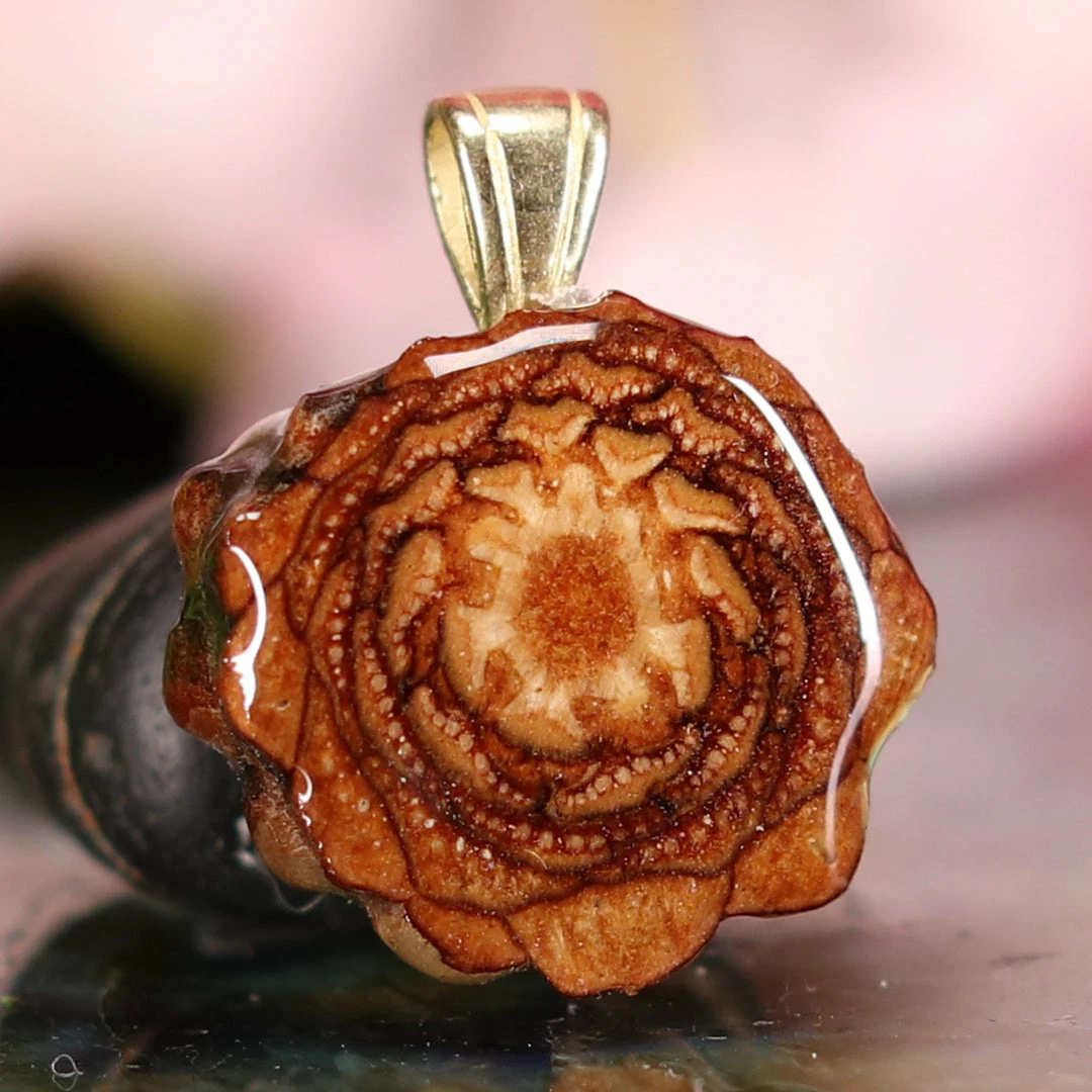 TEP Pendants Natural 5 TEP Pendants Natural