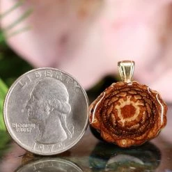 TEP Pendants Natural