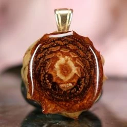 TEP Natural Pendants