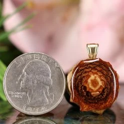 TEP Natural Pendants