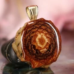 TEP Natural Pendants