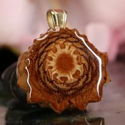 TEP Natural Pendants