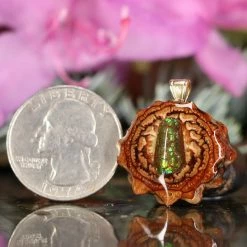 TEP Ammolite Pendants