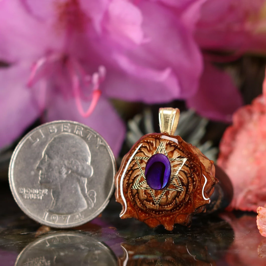 TEP Pendants Purple Paua Shell With Gold Merkaba 4 TEP Pendants Purple Paua Shell With Gold Merkaba