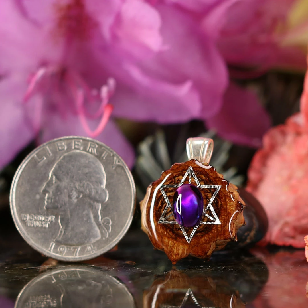 TEP Purple Paua Shell With Silver Merkaba 4 TEP Purple Paua Shell With Silver Merkaba