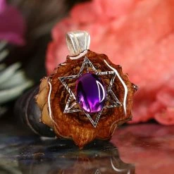 TEP Purple Paua Shell With Silver Merkaba 7 TEP Purple Paua Shell With Silver Merkaba