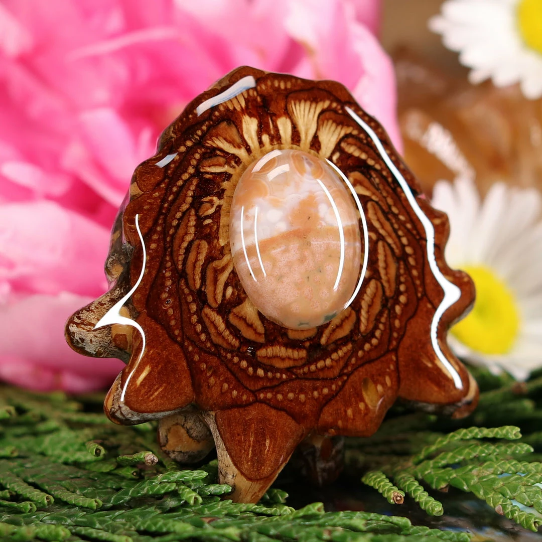 TEP Ocean Jasper 5 TEP Ocean Jasper