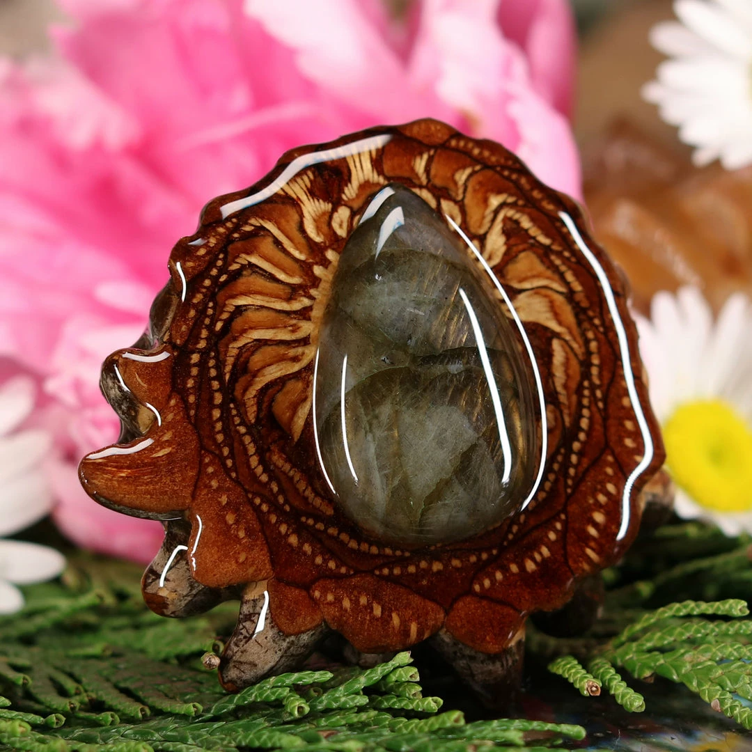 TEP Labradorite 5 TEP Labradorite