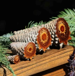 Third Eye Pinecones Accessories Altar Piece