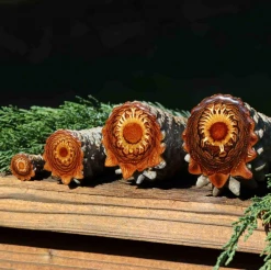 Third Eye Pinecones Accessories Altar Piece