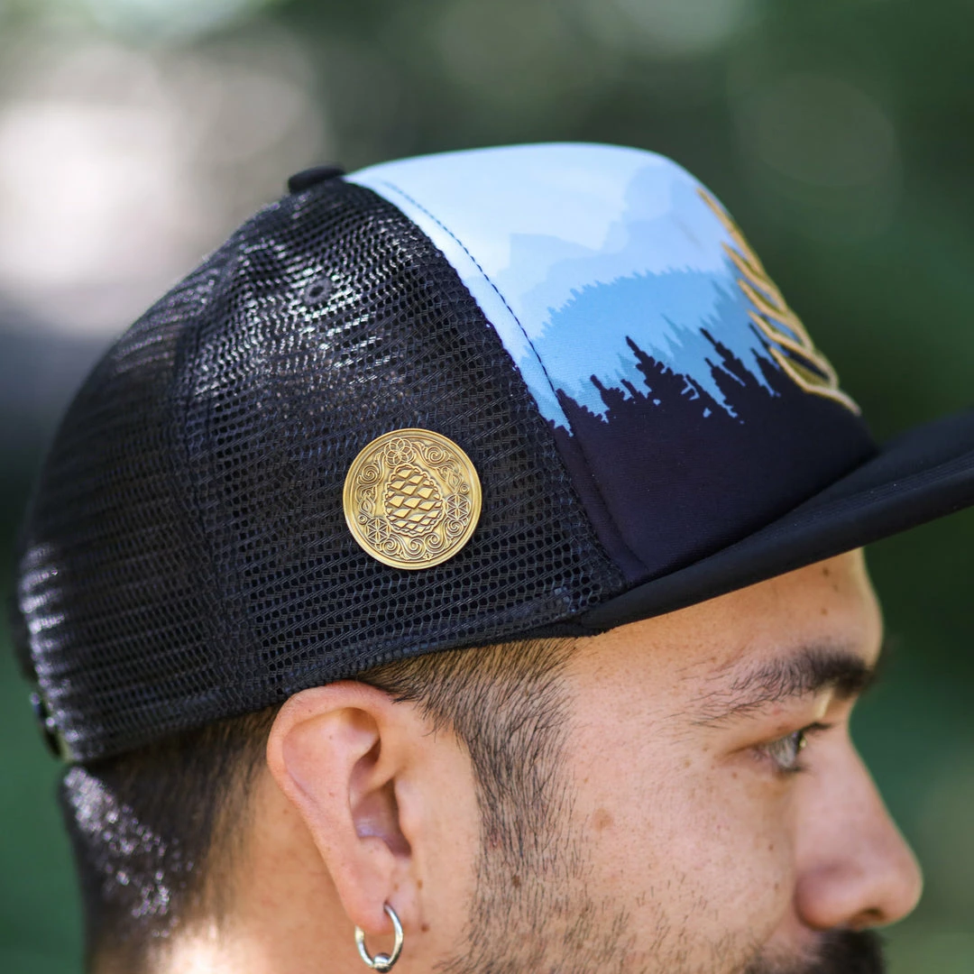 Third Eye Pinecones Clothing Hat Pins 7 Third Eye Pinecones Clothing Hat Pins