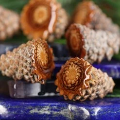 Third Eye Pinecones Accessories Altar Piece