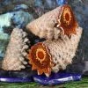 Third Eye Pinecones Accessories Altar Piece 1 Third Eye Pinecones Accessories Altar Piece