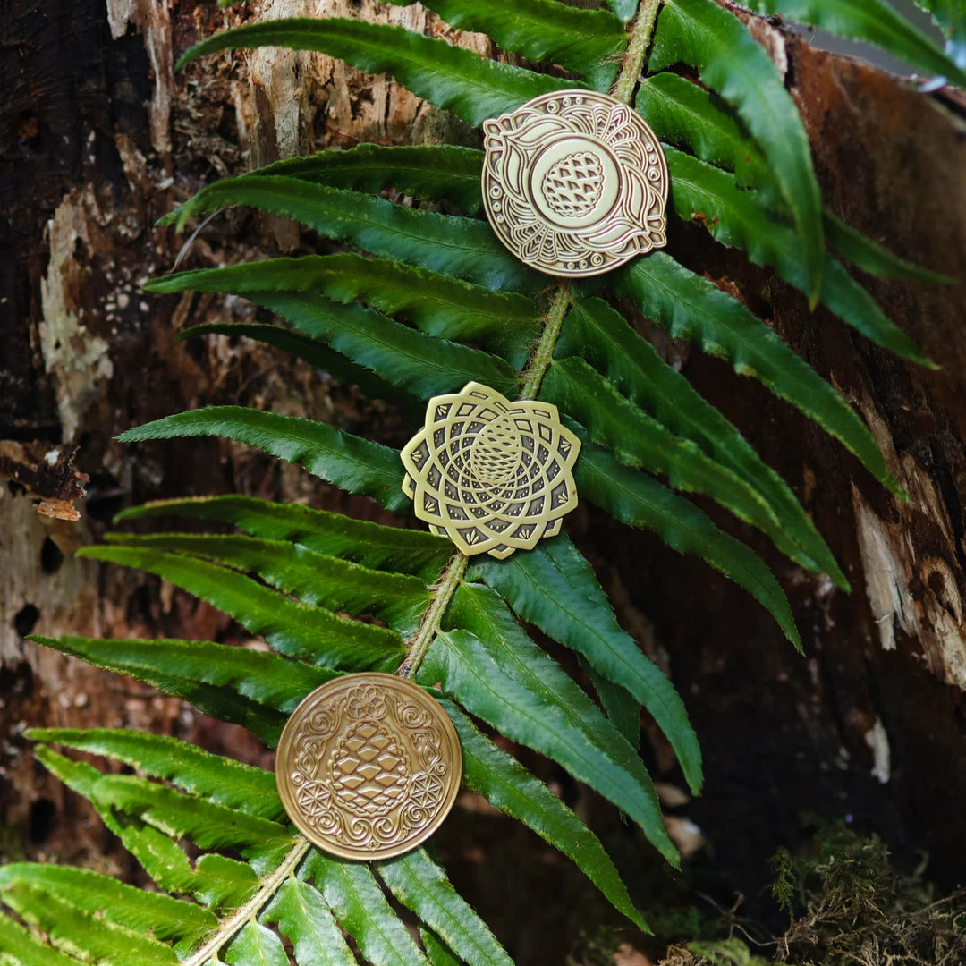 Third Eye Pinecones Clothing Hat Pins 3 Third Eye Pinecones Clothing Hat Pins