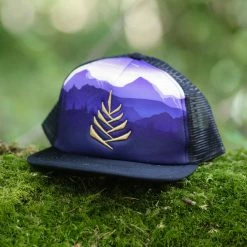 Third Eye Pinecones Golden Pinecone Hats Clothing